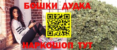 тгк Партизанск