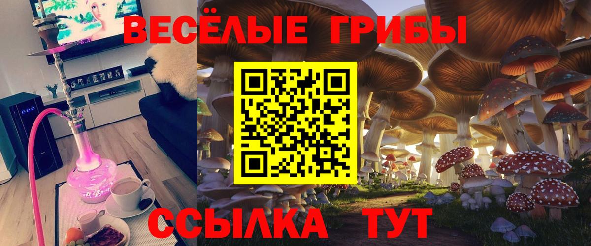Тула  Псилоцибиновые грибы ЛСД  Вход с VPN 